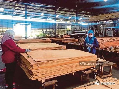 馬來西亞木制品出口迎來爆發(fā)期 預計2025年達287億人民幣，產業(yè)升級與全球需求雙輪驅動